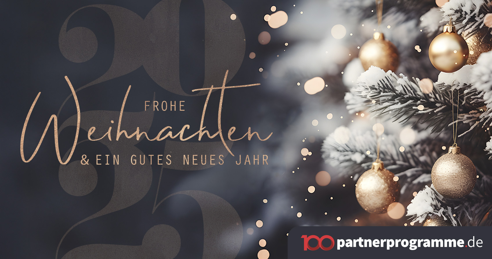 Frohe Weihnachten und einen guten Rutsch!